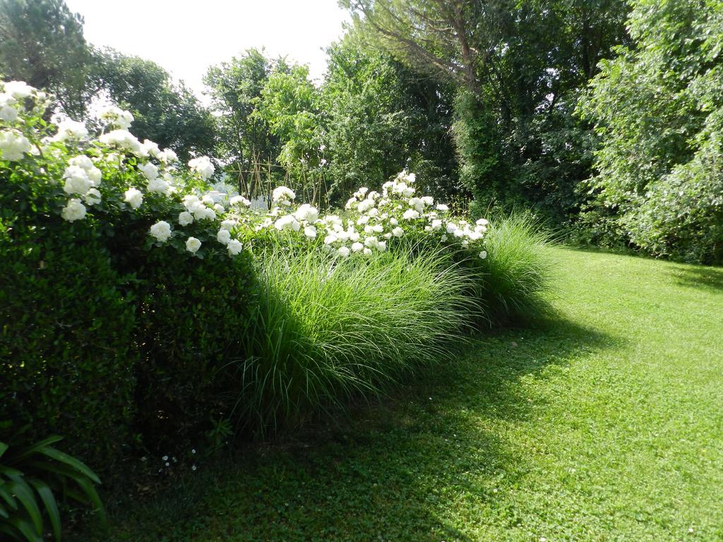 B&B I Fiori Della Cava Pesaro Exterior photo
